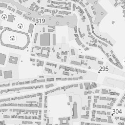 Geoportail.lu Topo Gray Roadmap preview