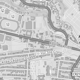 Geoportail.lu Topo Gray Roadmap preview