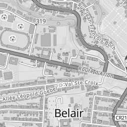 Geoportail.lu Topo Gray Roadmap preview