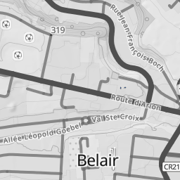 Geoportail.lu Topo Gray Roadmap preview